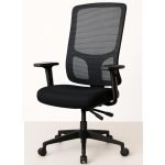 Cadeira de Escritório Tela PRYUS Back System – Cor Preto – 20099 CT Móveis para Escritório 13